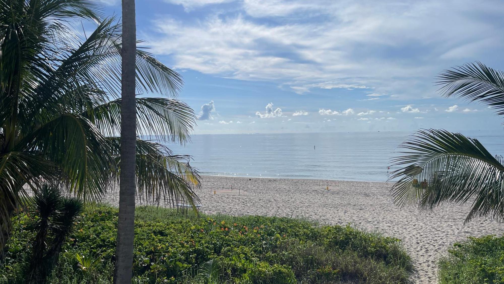 Studiobts - Lauderdale-By-The-Sea Pompano Beach Exteriér fotografie